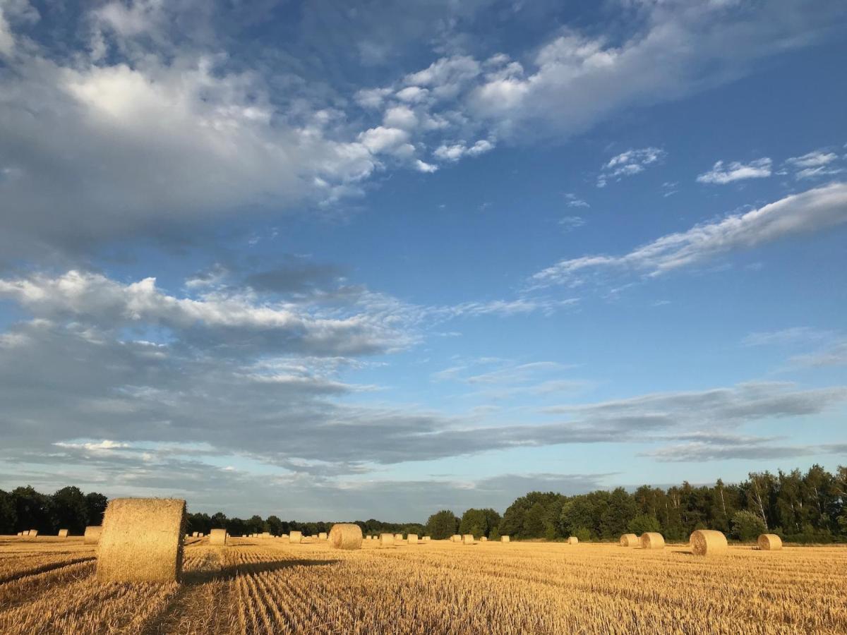 Seenliebe